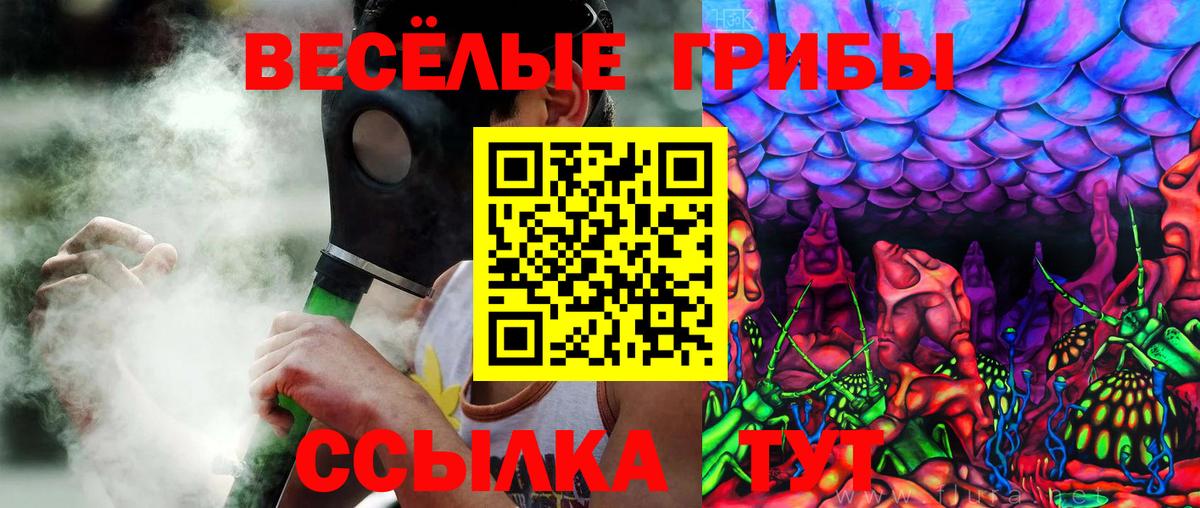 Псилоцибиновые грибы Magic Shrooms Петропавловск-Камчатский