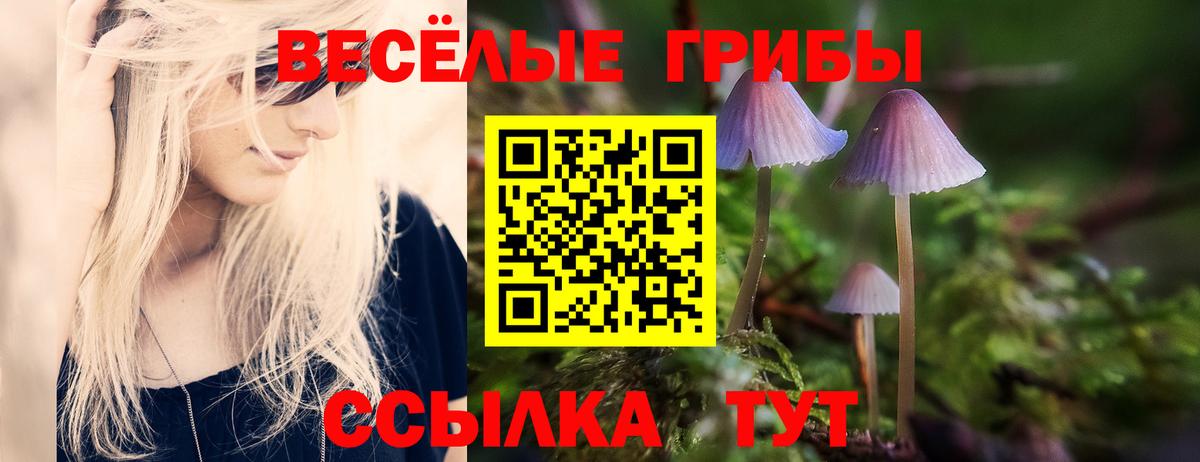 Галлюциногенные грибы Psilocybine cubensis  наркота  Петропавловск-Камчатский  Вход с VPN 